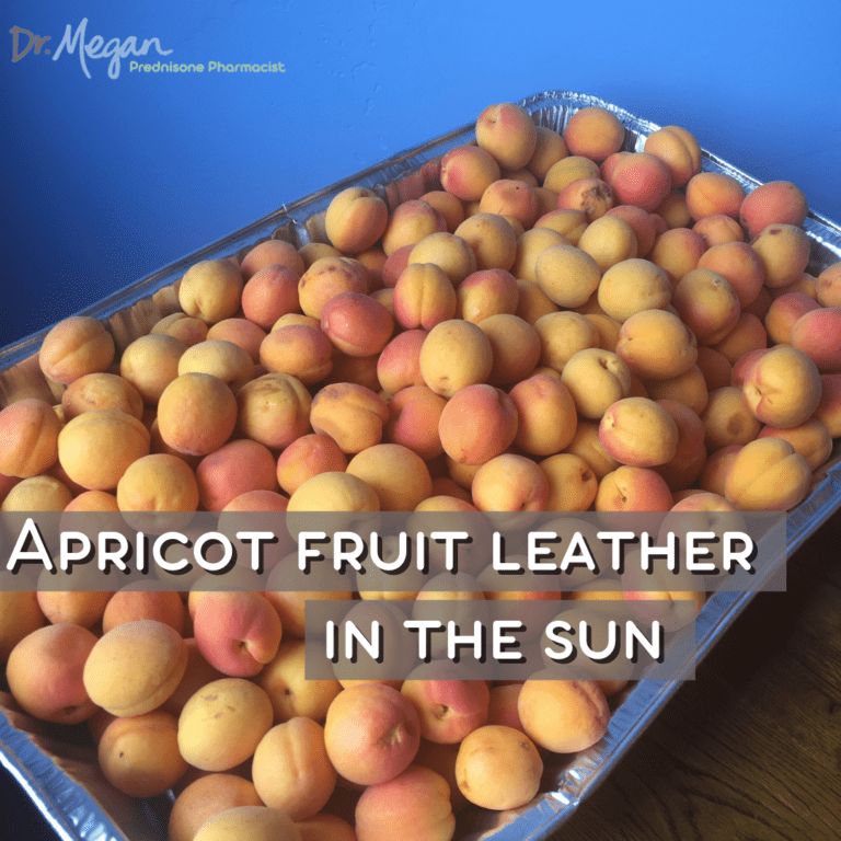 Easiest Way to Eat Apricots – Fruit Leather in the Sun!