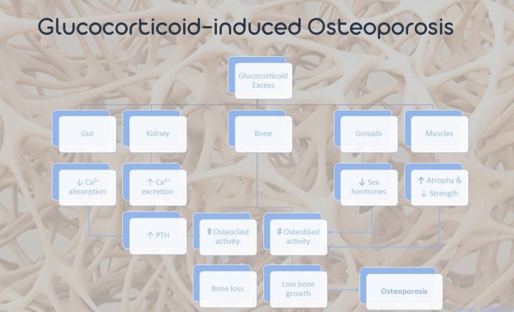 Osteoporosis Calcium And Prednisone Side Effects Dr Megan
