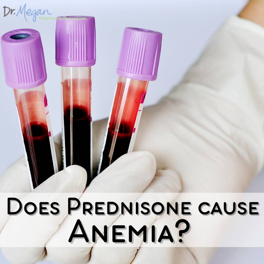 Does Prednisone Cause Anemia? Side Effect or Not?